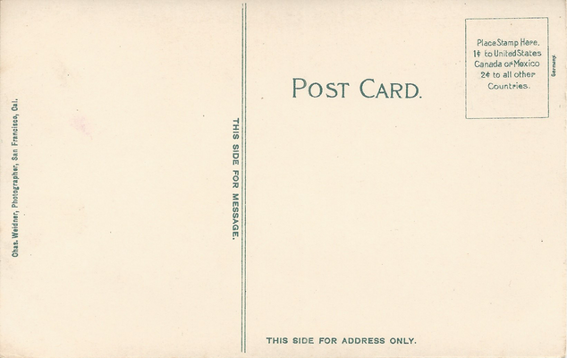 weidner_015_b.png