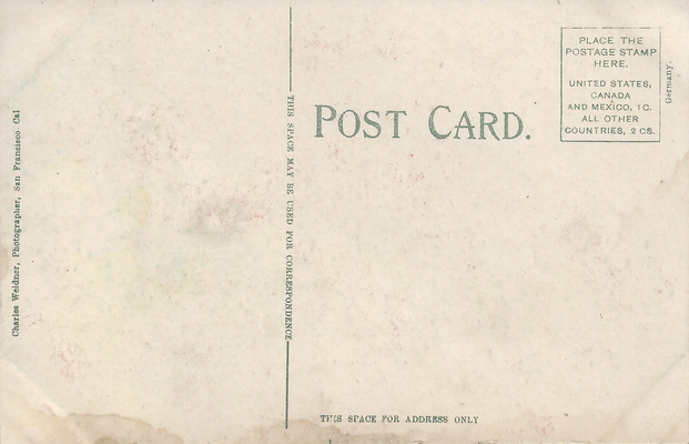 weidner_187_b.png
