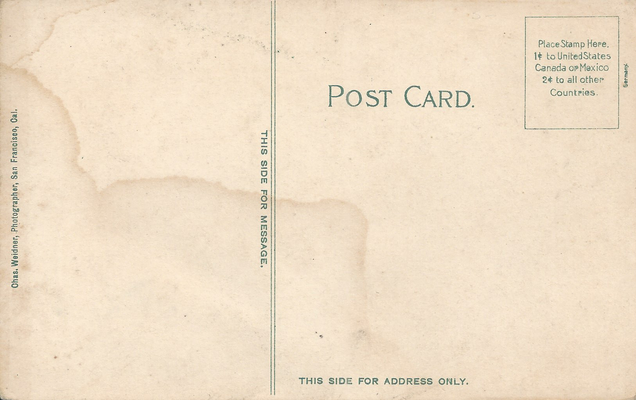 weidner_208_b.png