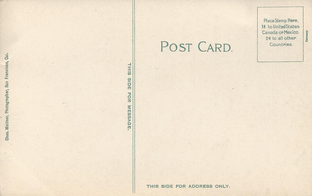 weidner_224_b.png