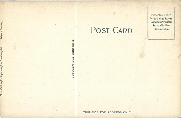 weidner_247_b.png