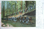p037a.png