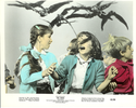 Birds3.png