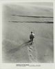 WomanInTheDunes.png
